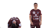 Pump It Up Bundesliga Sticker by 1. VFL Potsdam