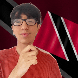 Trinidad And Tobago Pride GIF