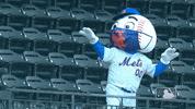 Happy Ny Mets GIF by New York Mets