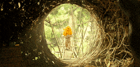 fall oops GIF by Paddington Bear