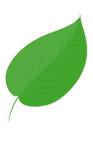 therawberry giphyupload green plant fresh Sticker