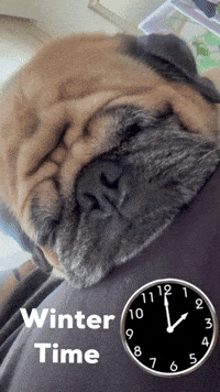 Dog Time GIF
