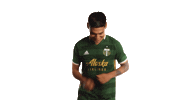 Portland Timbers Sticker by Timbers