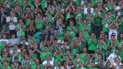 fans applause GIF by AS Saint-Etienne