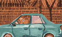 palfiorova fish driving old car bad driving GIF