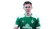 football wave Sticker by SV Werder Bremen