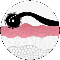 Beauty Wow Sticker by SecretLips
