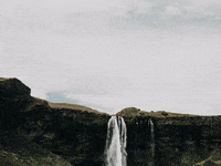 Interessen Mitglieder Franchise Verband GIF by FranchiseONE.de