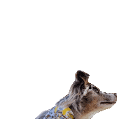 Aussie Disney Dog Sticker by Geekster Pets