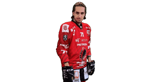 Brus Sticker by HDD SIJ Acroni Jesenice