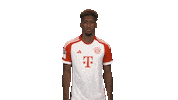Fc Bayern Smile Sticker by Bundesliga