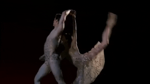 royaloperahouse giphygifmaker within the golden hour GIF