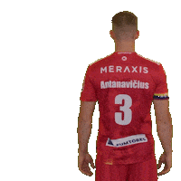 Handball Sticker by Alpla HC Hard
