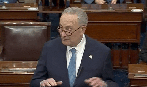 Chuck Schumer January 6Th GIF by GIPHY News