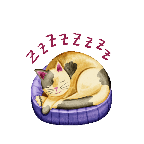 mehrisena cat night sleep sleepy Sticker