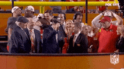 National Football League GIF by NFL