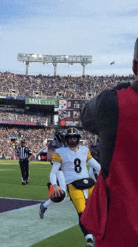 Excited Celebration GIF by Pittsburgh Steelers