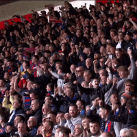 Celebrate Premier League GIF by Crystal Palace Football Club