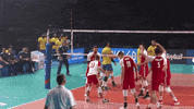 Happy Joy GIF by Volleyball World