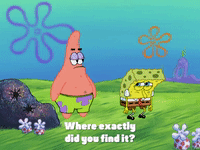 season 4 GIF by SpongeBob SquarePants