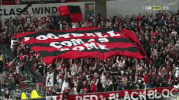 wswanderersfc reaction football celebration wanderers GIF