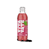 Vv Sticker by VitaVate