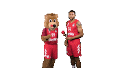 Valentines Day Sport Sticker by FC Bayern Basketball