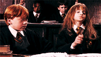 harry potter and the philosophers stone GIF