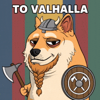 Shiba Inu Dog GIF by Doge Pound