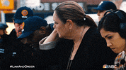 Season 22 Hello GIF by Law & Order