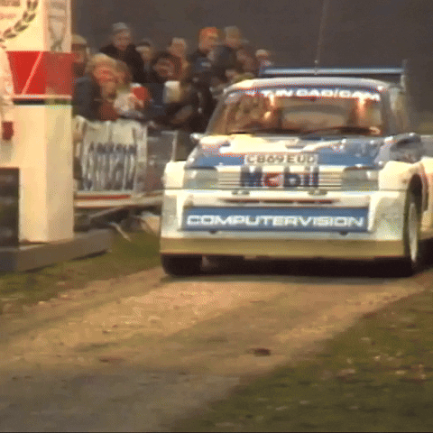 Lets Go Sport GIF by FIA World Rally Championship