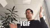 Tgif GIF by gestalterhuette