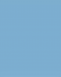 North Carolina Baseball GIF by UNC Tar Heels