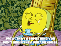 season 6 GIF by SpongeBob SquarePants