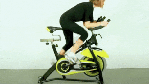 Fit Bike