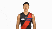 essendonfc dons bombers essendon essendon fc GIF