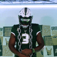 Ncaa Football GIF by USF Athletics