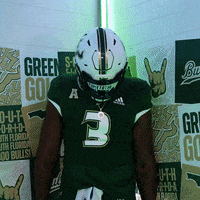 Ncaa Football GIF by USF Athletics
