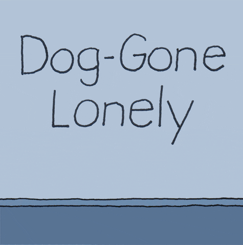 Dogs Love GIF by Chippy the Dog