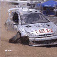 Coming Home Cars GIF by FIA World Rally Championship