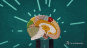 Brain GIF by The Explainer Studio