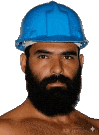 Gay Bear Sticker by Database數據