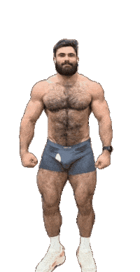 Gay Bear Sticker by Database數據