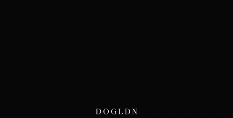 London Dog GIF by DOGLDN