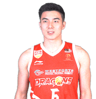 Kldragons Kld Sticker by kualalumpurdragons