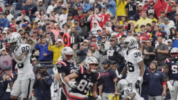 Nfl Football Celebration GIF by New England Patriots