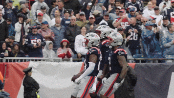 Nfl Football Dance GIF by New England Patriots