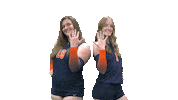 Cnvb Sticker by Carson-Newman Athletics