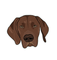 Dog Shark Sticker