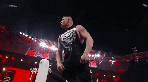 brock lesnar wrestling GIF by WWE